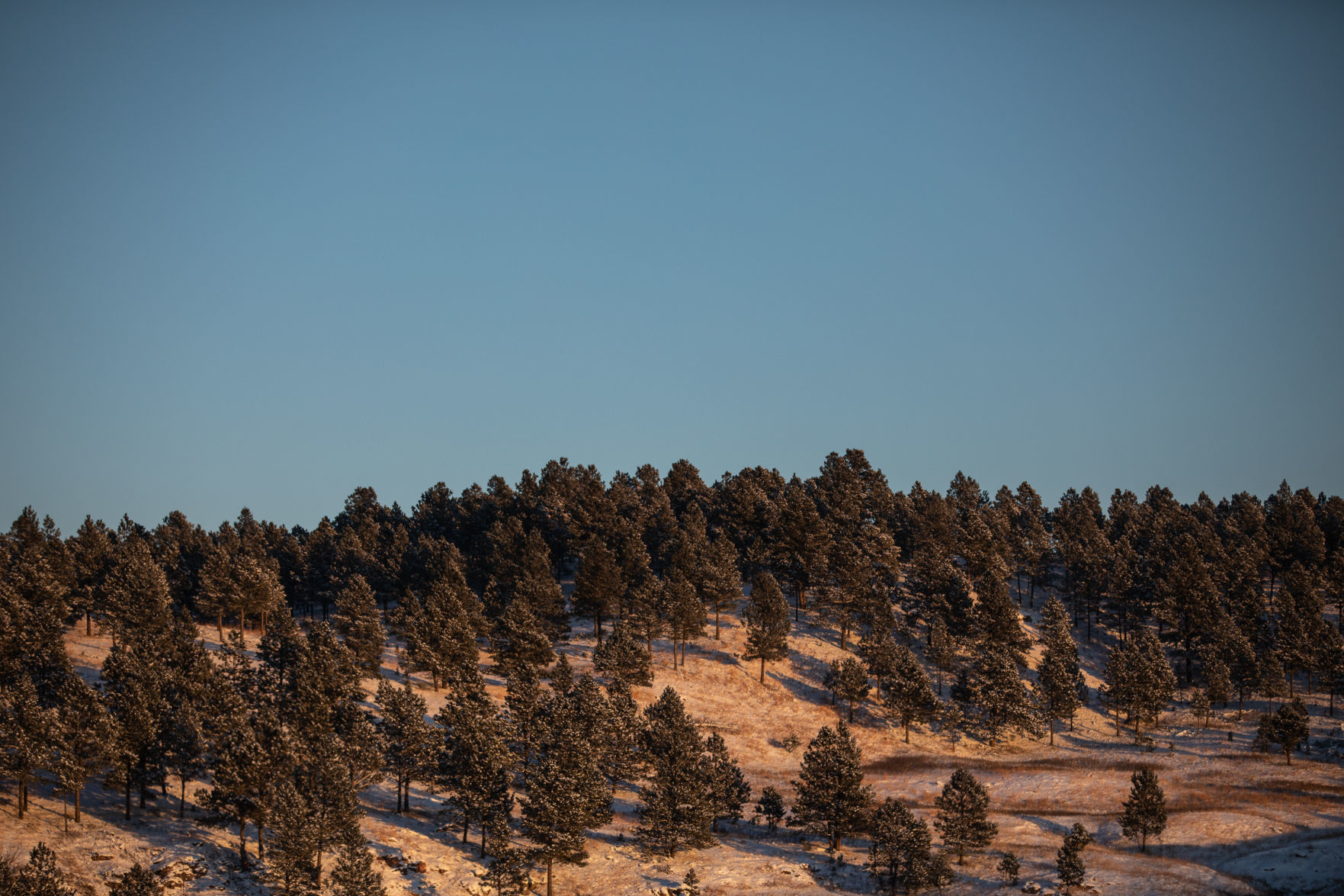 Cold weather